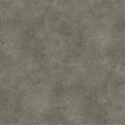 DU-S60019 FG (Crick)